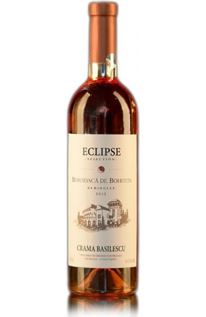 Eclipse  - Busuioaca de Bohotin