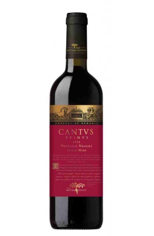 Cantus Primus-Feteasca Neagra Magnum